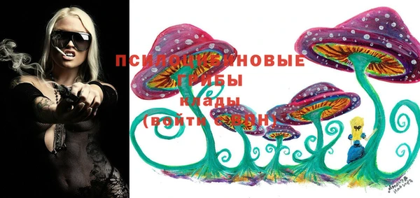 apvp Алзамай
