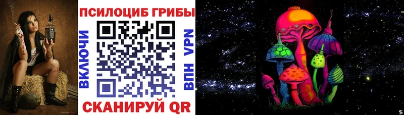 маркетплейс как зайти Карасук Галлюциногенные грибы Cubensis