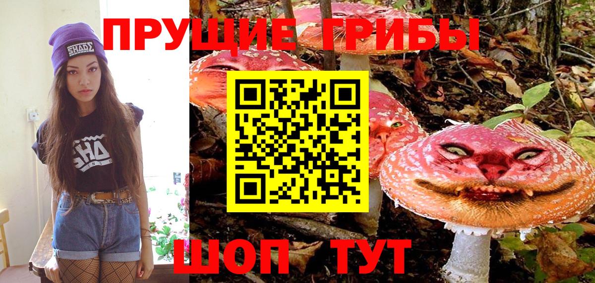 купить   Вход с VPN  Карасук  Галлюциногенные грибы прущие грибы 